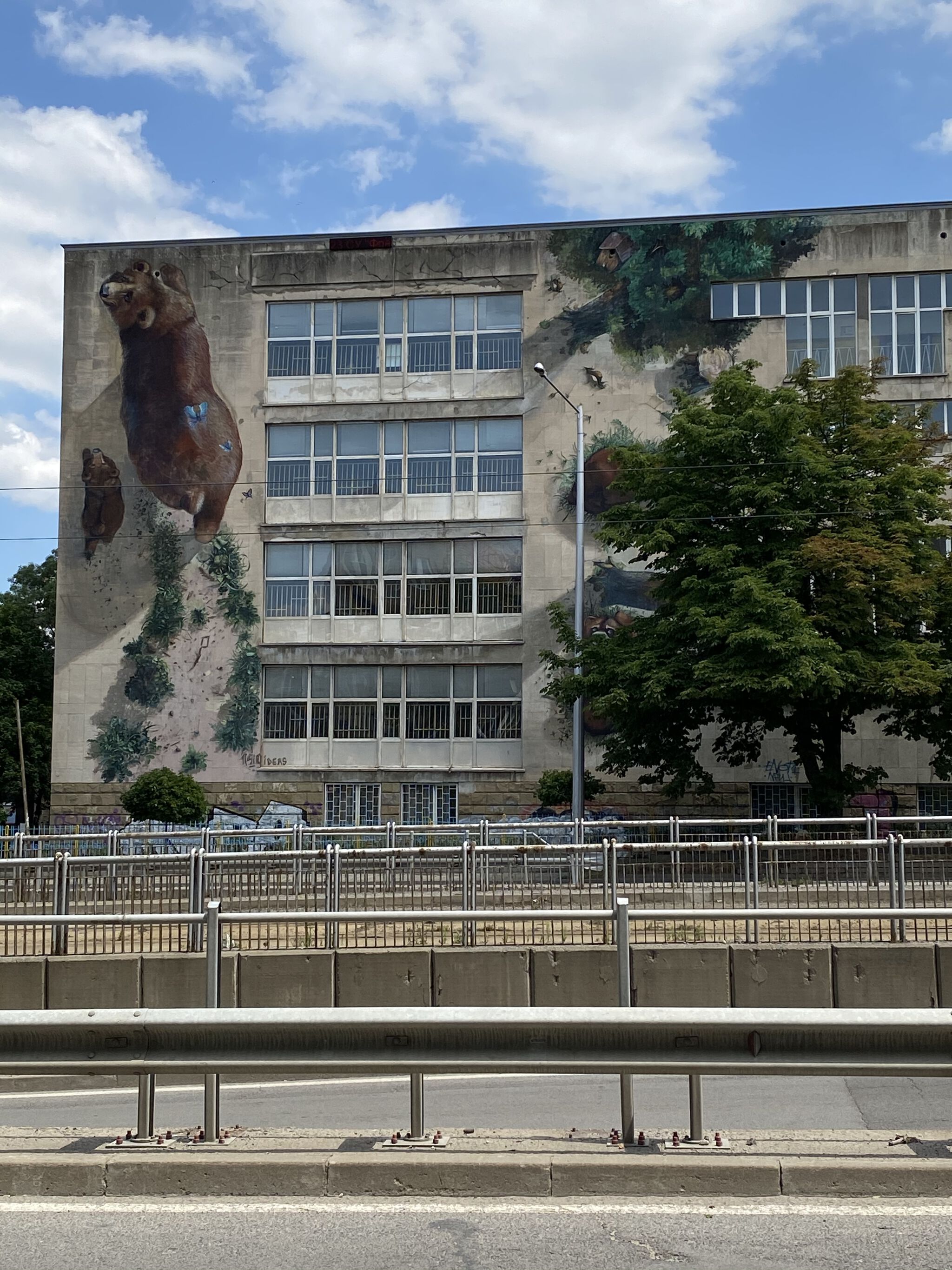 140ideas&mdash;Love the brown bear