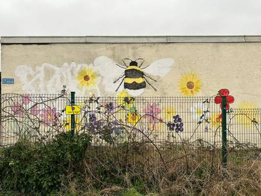 Wild Meadow Bee