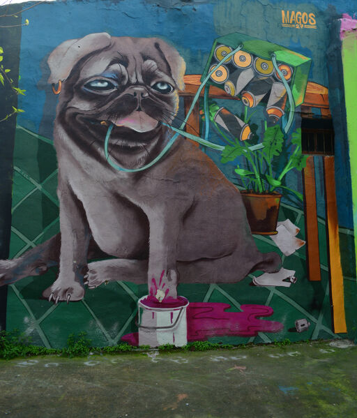 Dog with paint