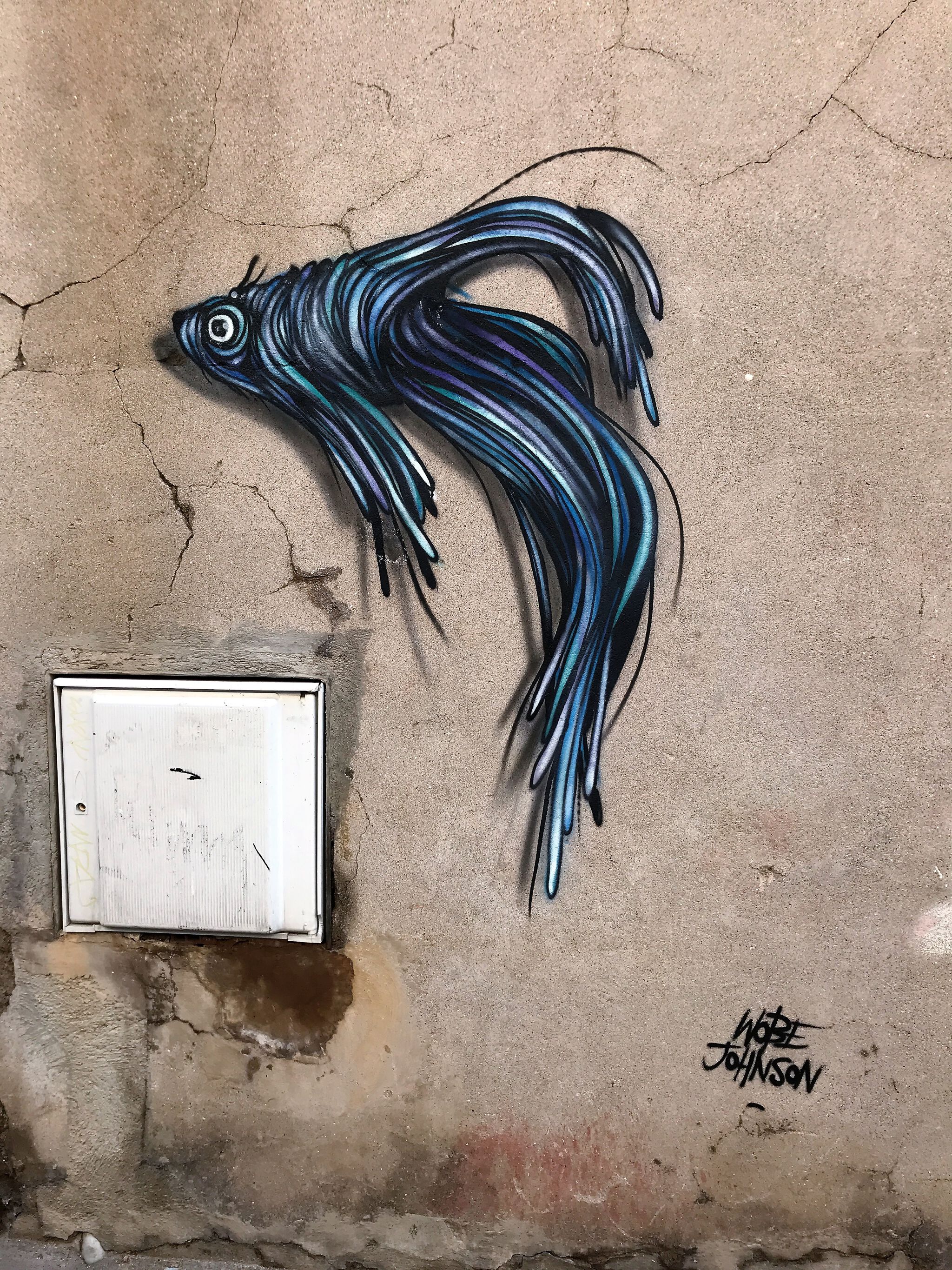 Wobe Johnson&mdash;Wobe Johnson Rue de Tunis