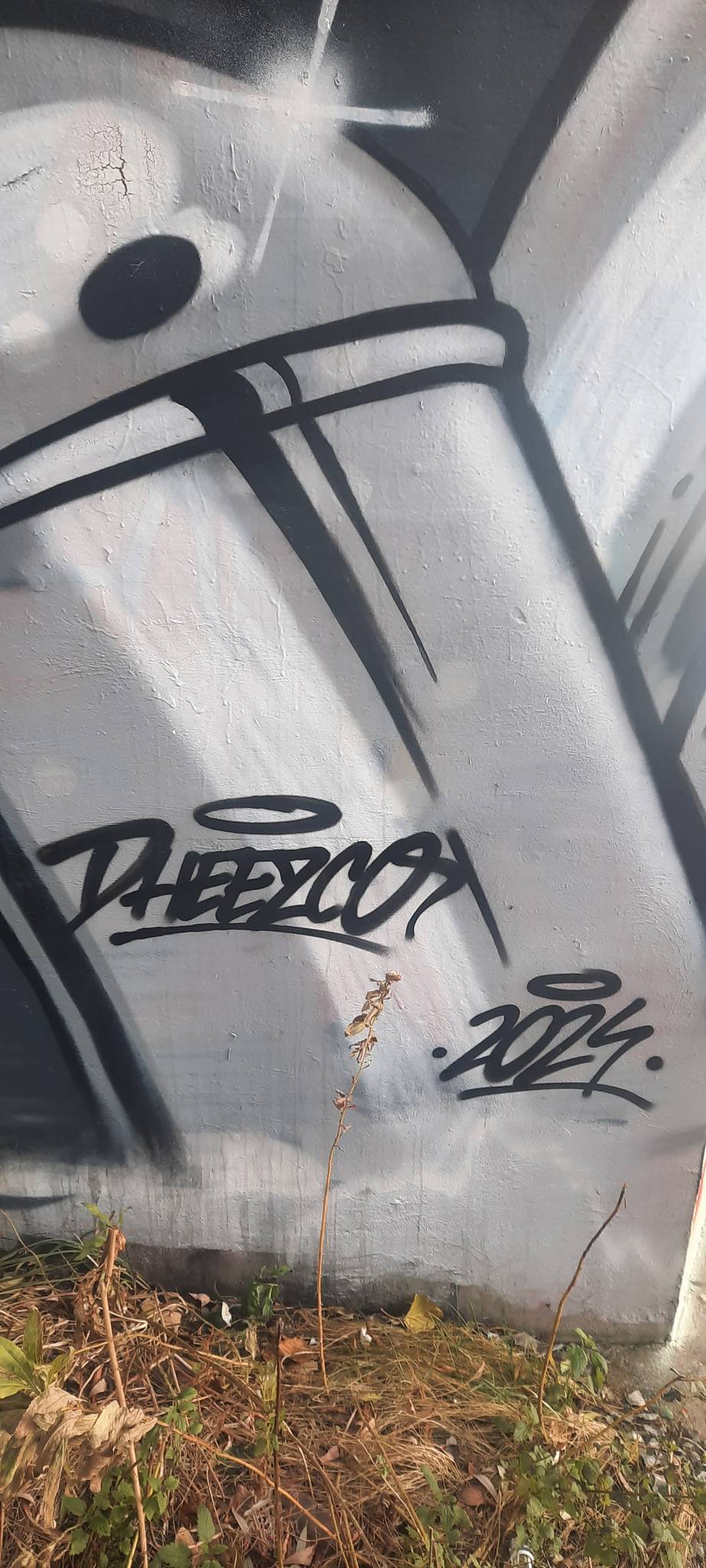 Dheezco (Dhizco)&mdash;Can't get enough
