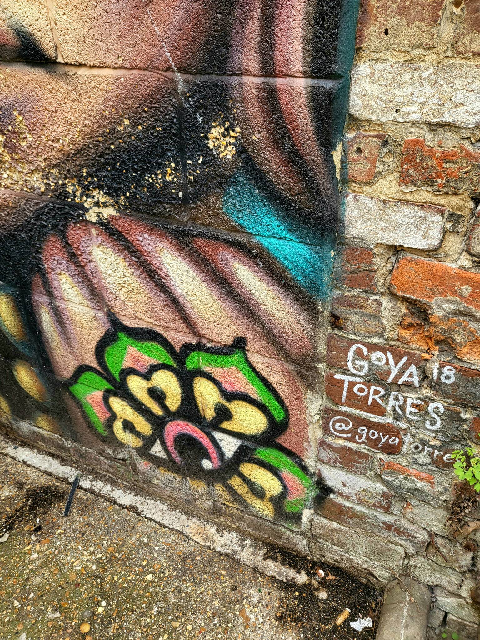 Goya Torres&mdash;Hillfield Trading Street Gallery