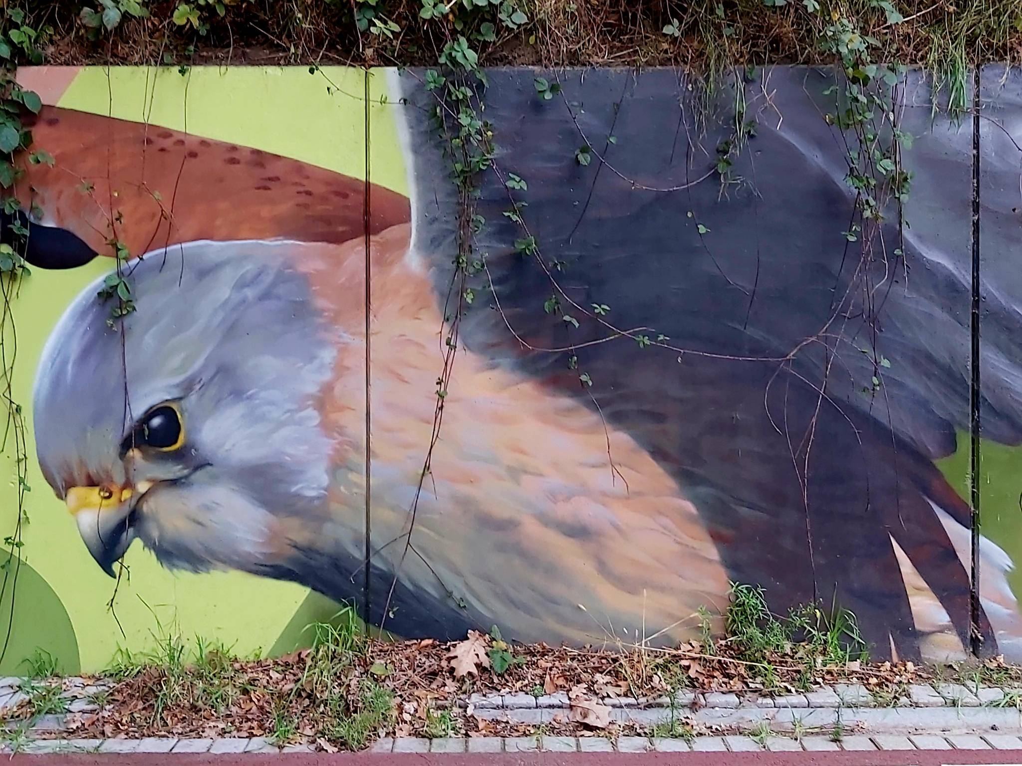 Graffitidier, Mervyn&mdash;undefined