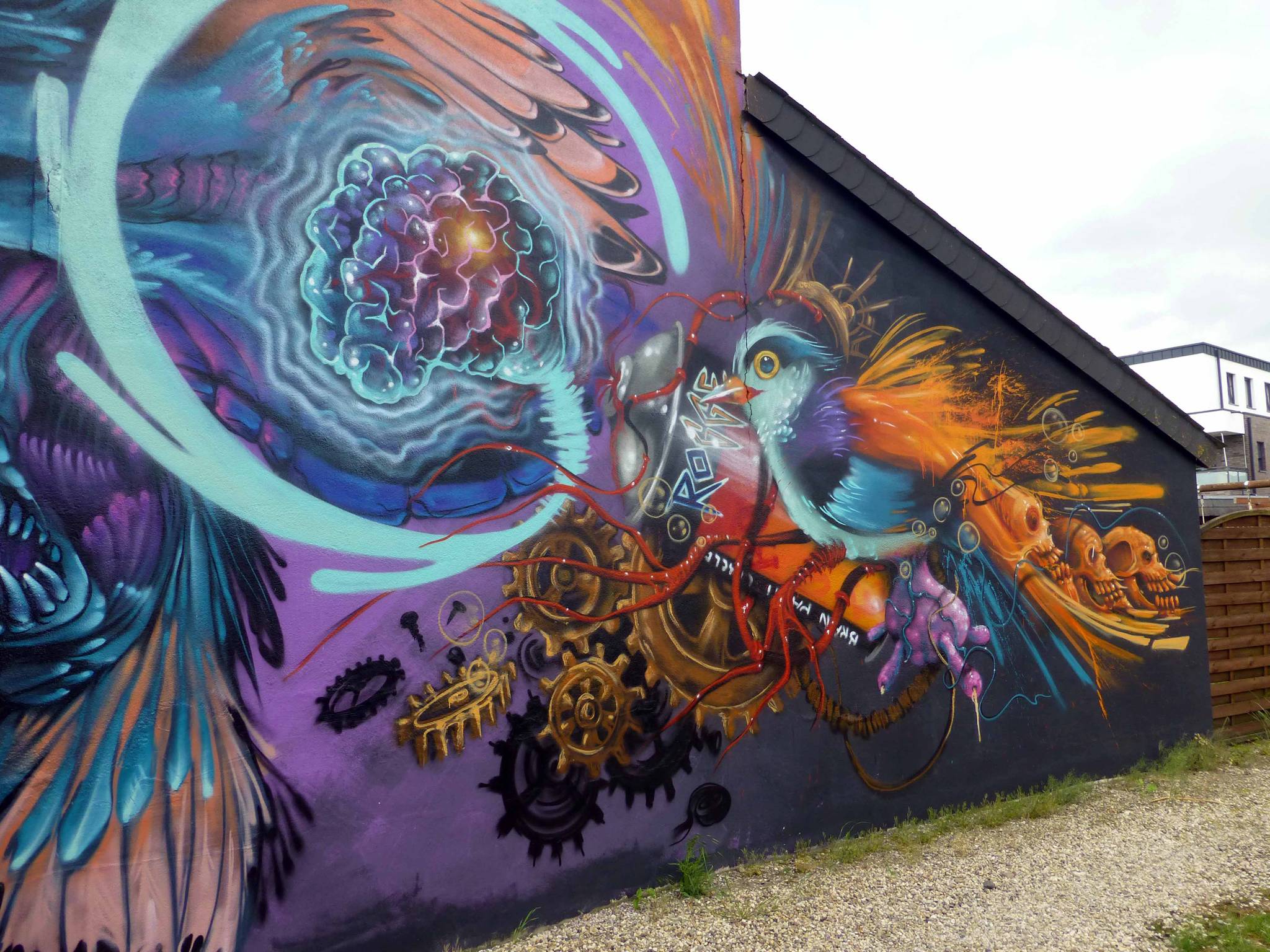 BrainPaintCircle&mdash;The Hoopoe is landed
