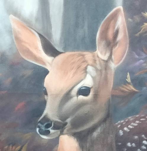 Stag