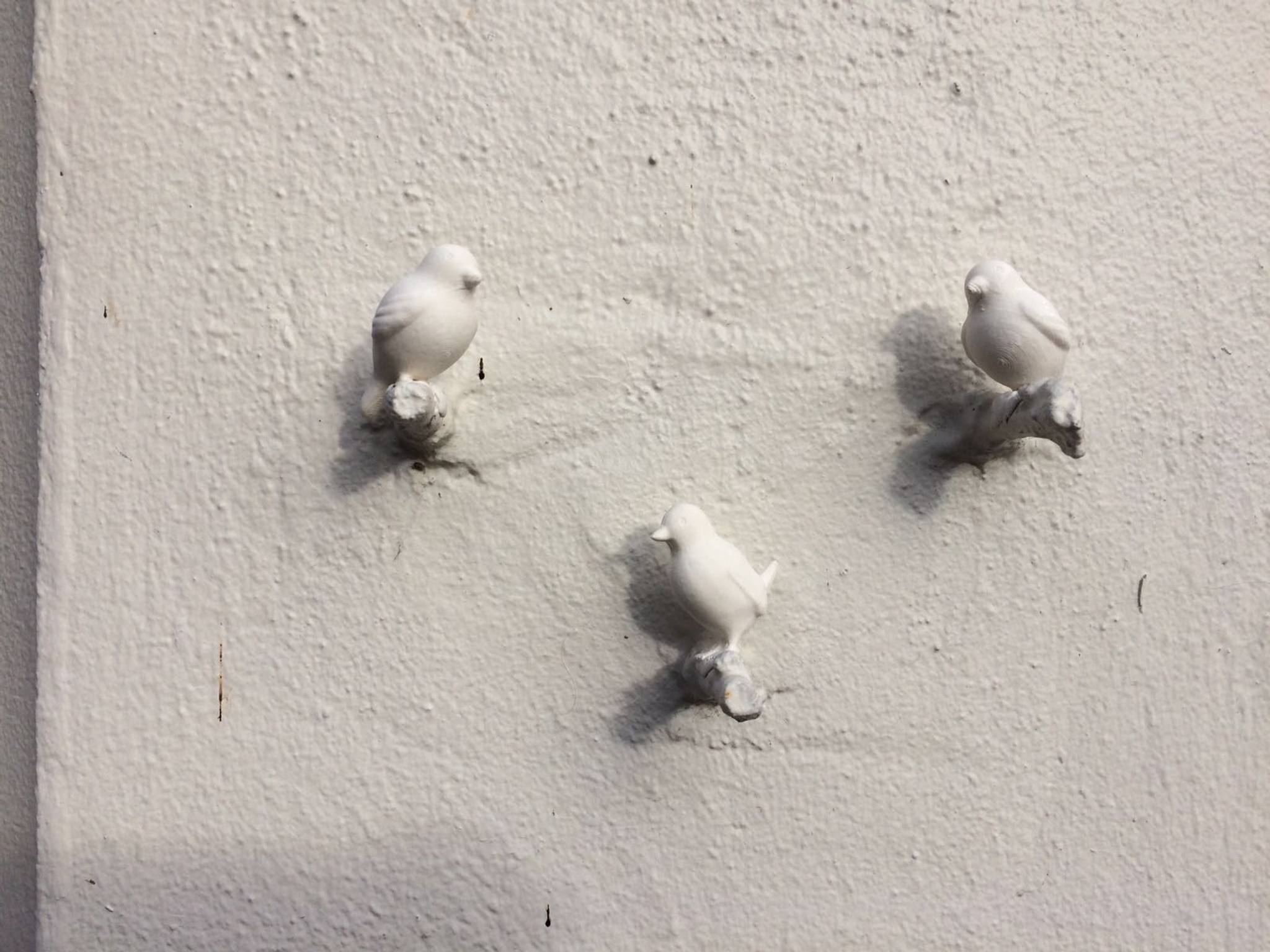 Valerie Ardini &mdash;Birds
