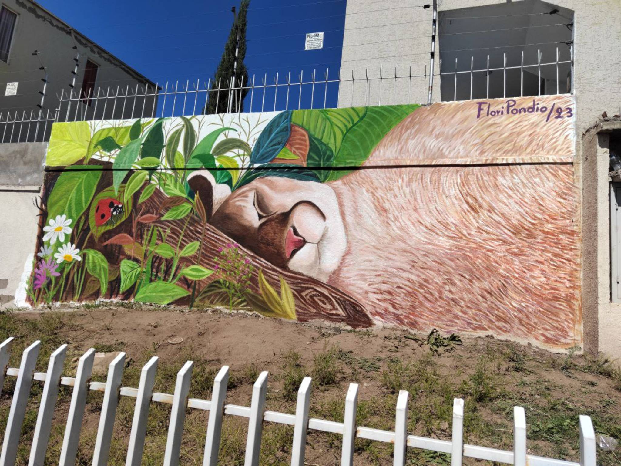 Floripondio&mdash;Descanso del Puma