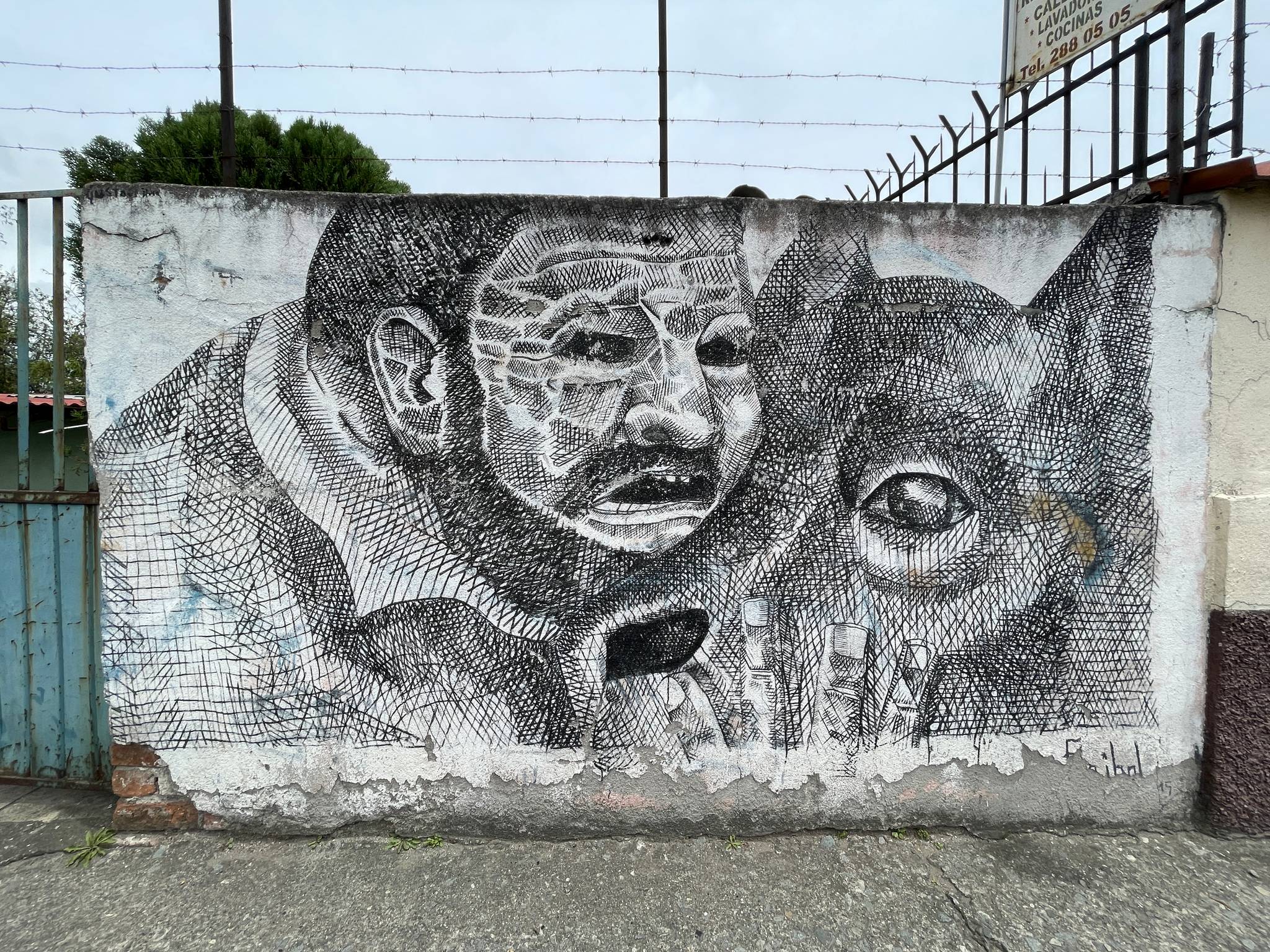 Pedro Alvarez Estrella (fai)&mdash;Mans best friend