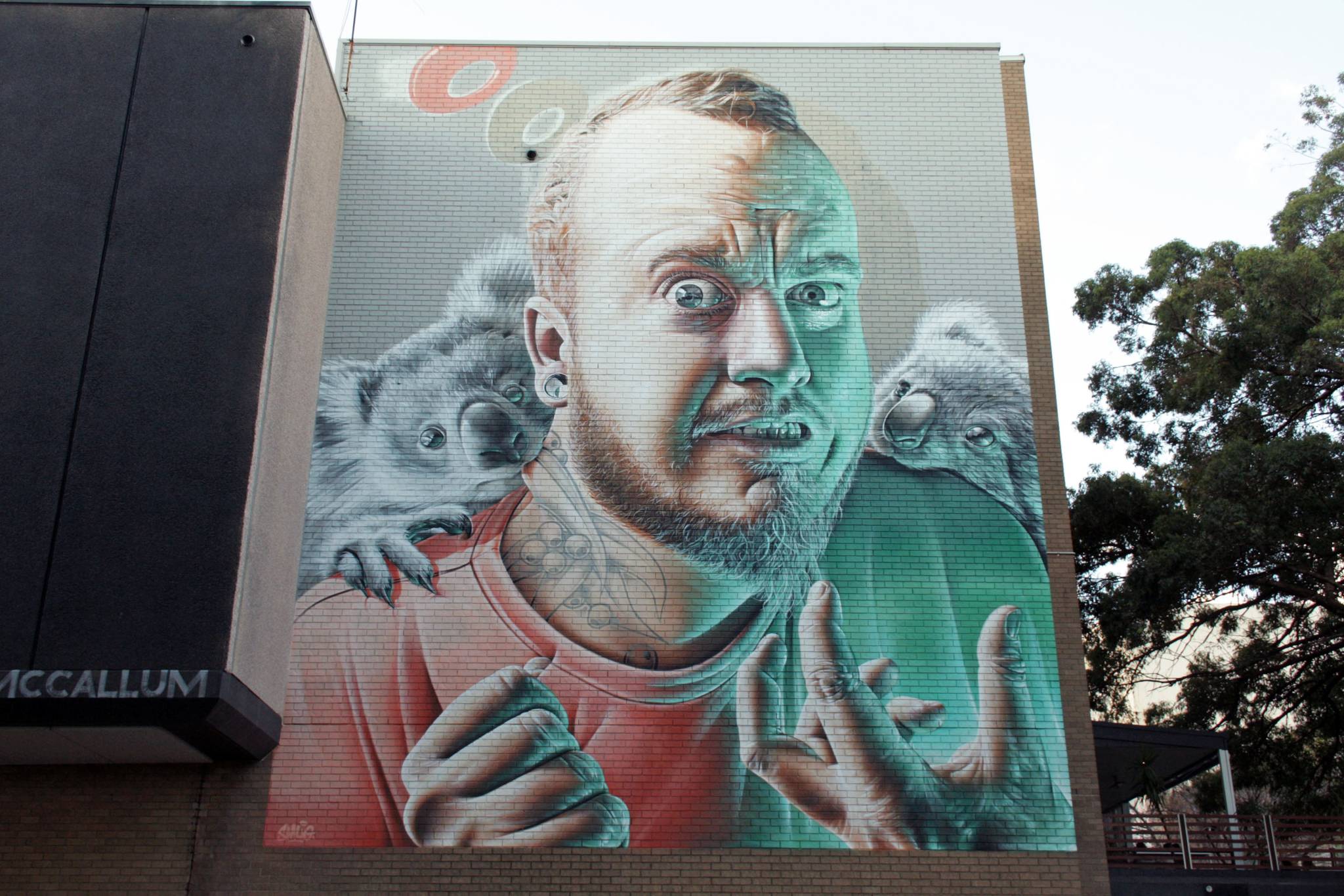 Smug&mdash;Koalas