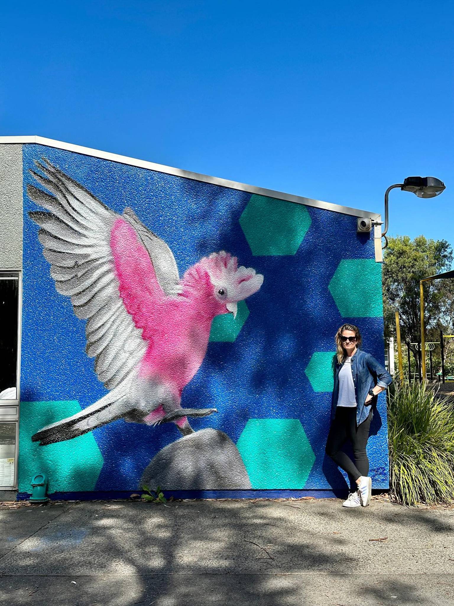 Tara Cull&mdash;Marlborough Primary School Mural