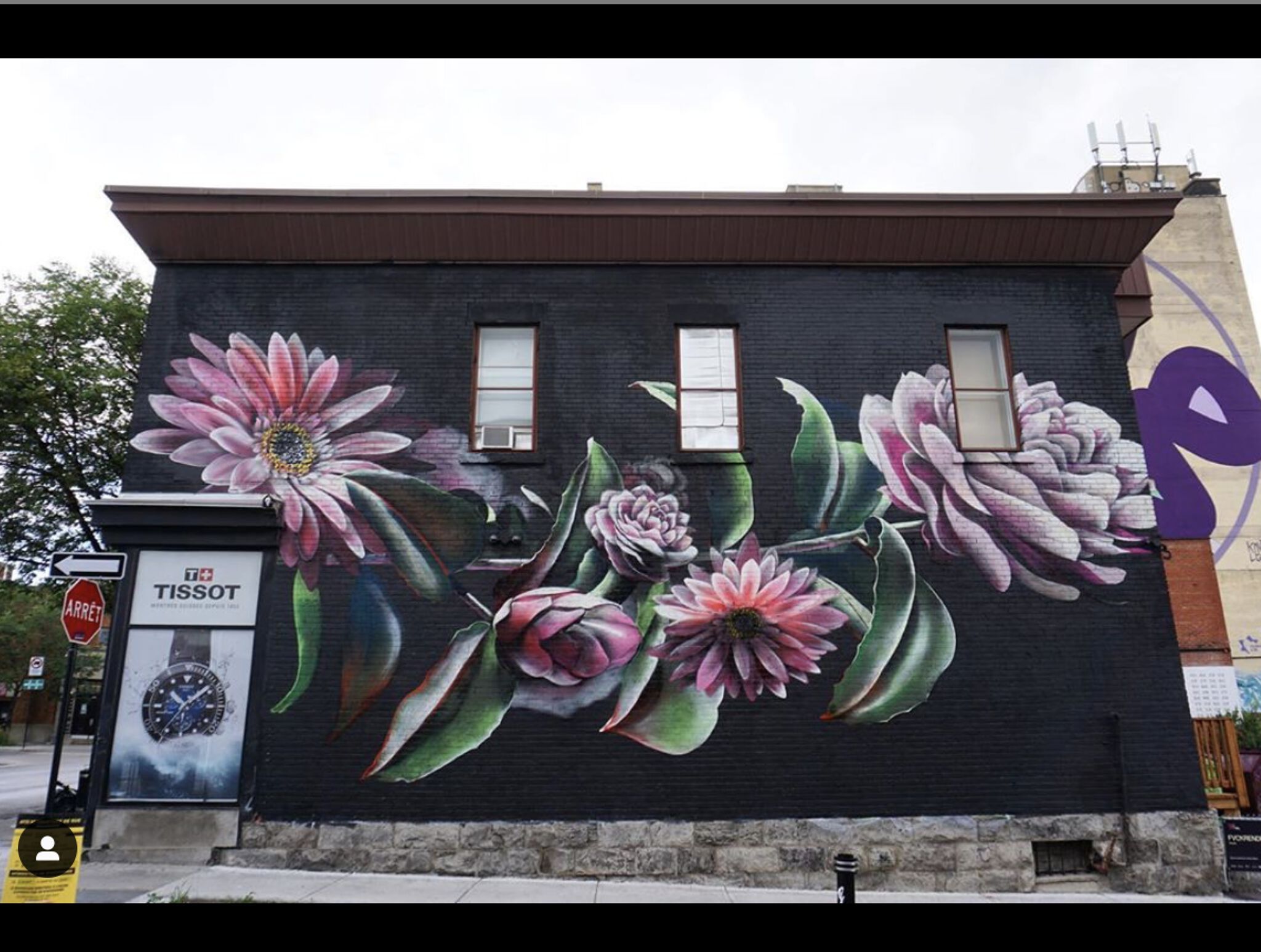 Jeremy Shantz&mdash;Untitled