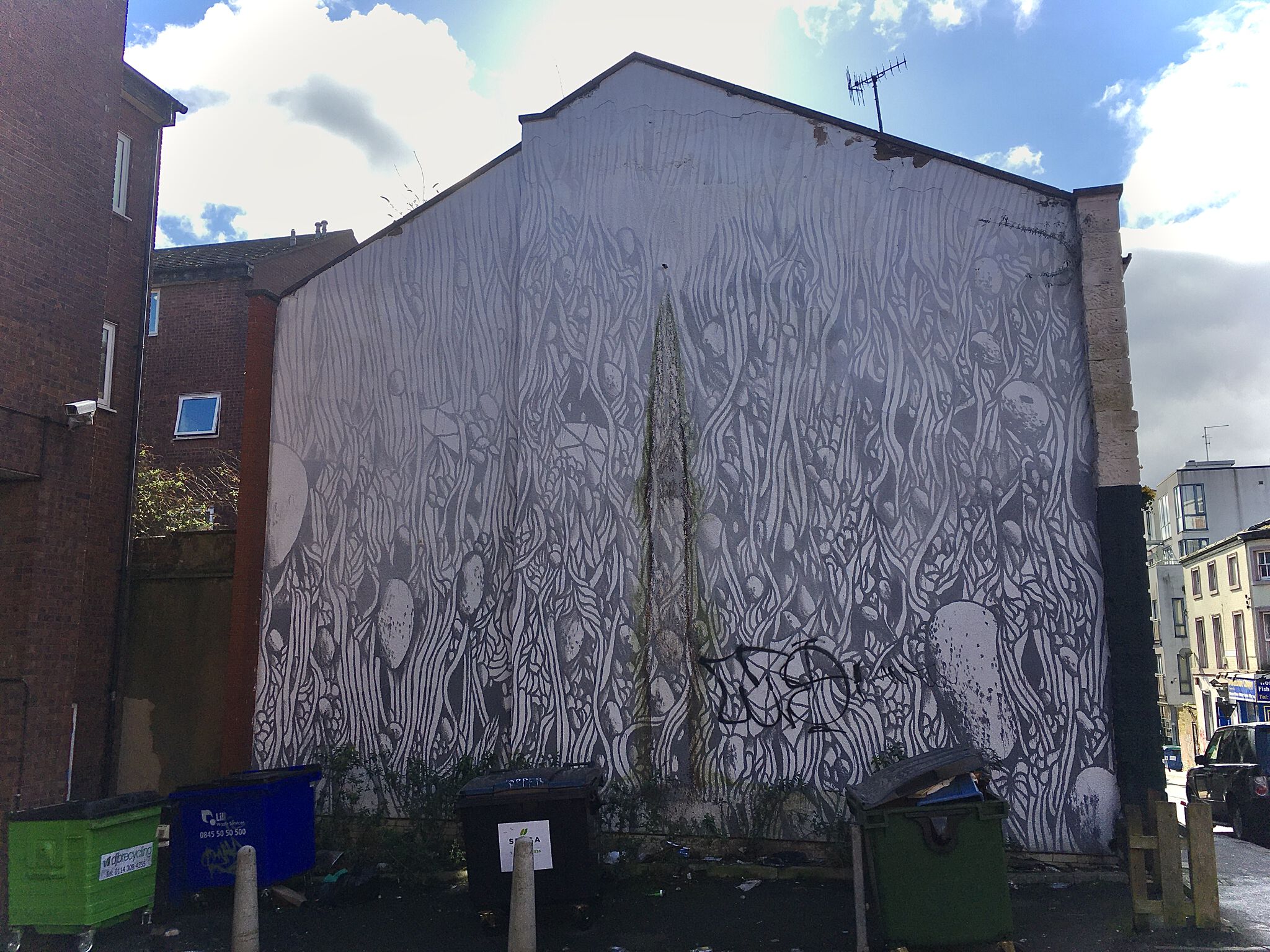 Unknown - Sheffield&mdash;The Fog