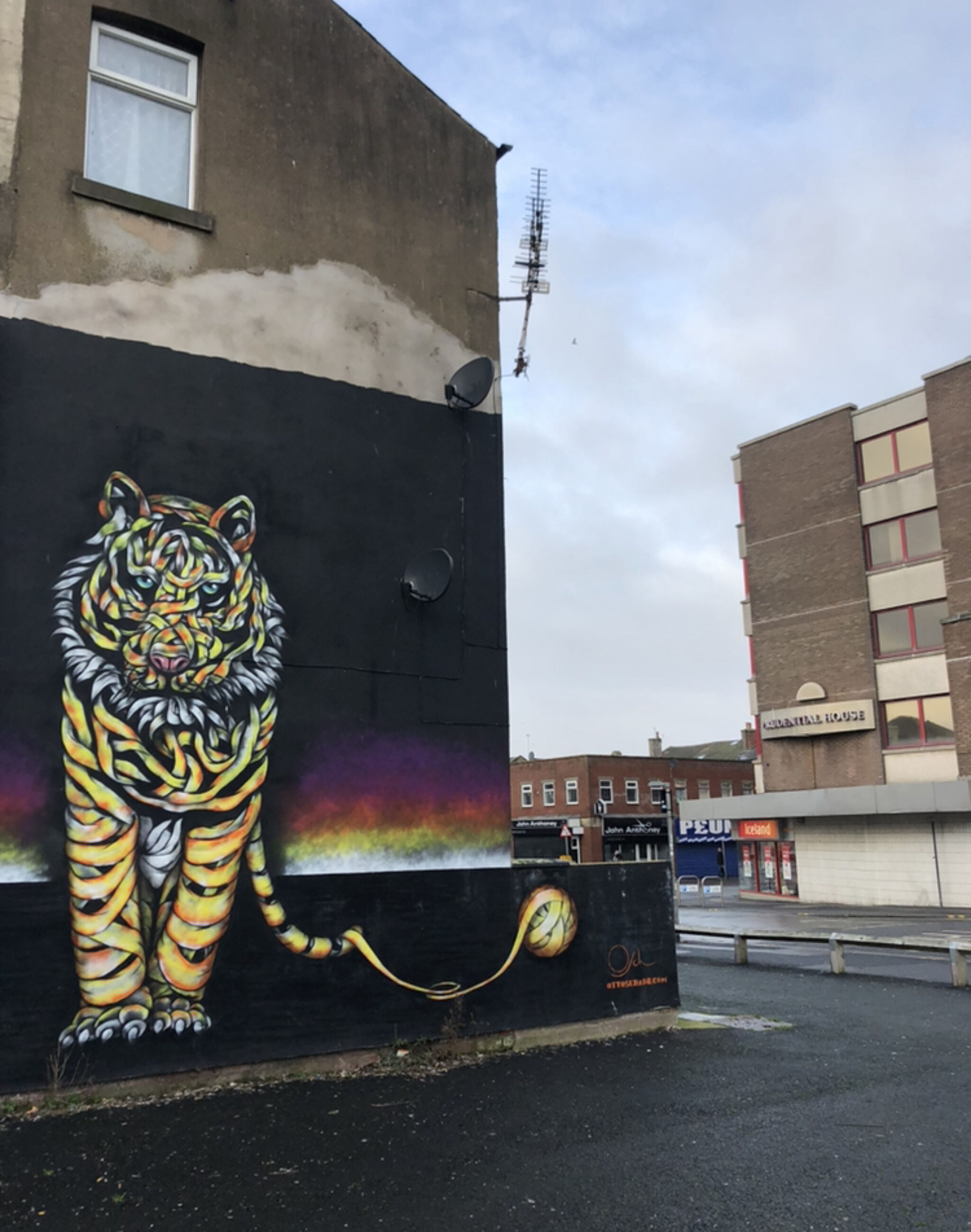 Otto Schade&mdash;Tiger