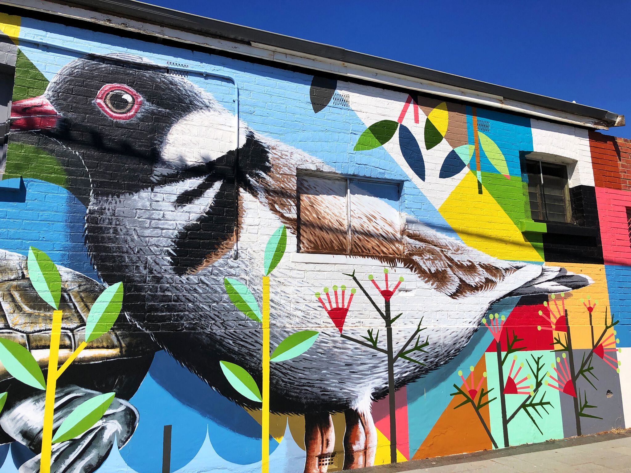 Brenton See&mdash;Cafe’ on Clive