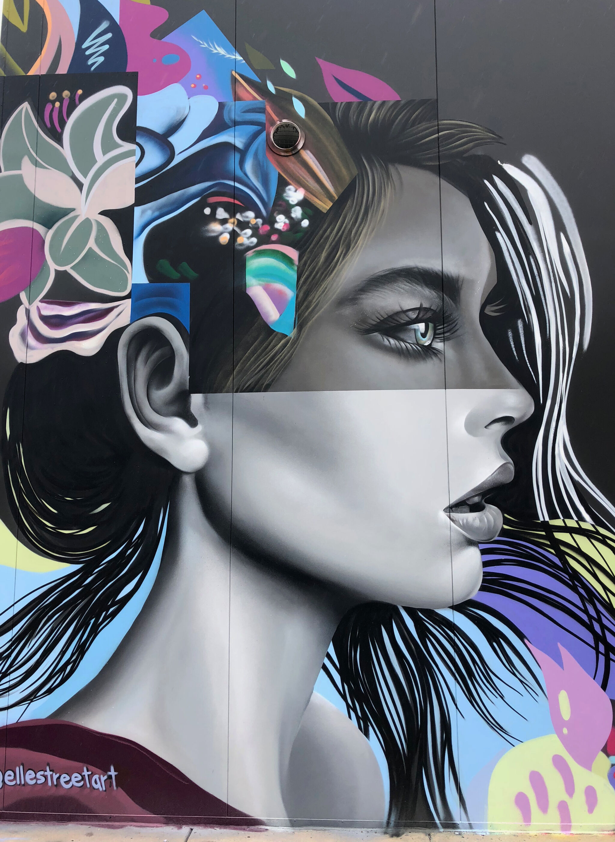 Elle Street Art&mdash;Untitled