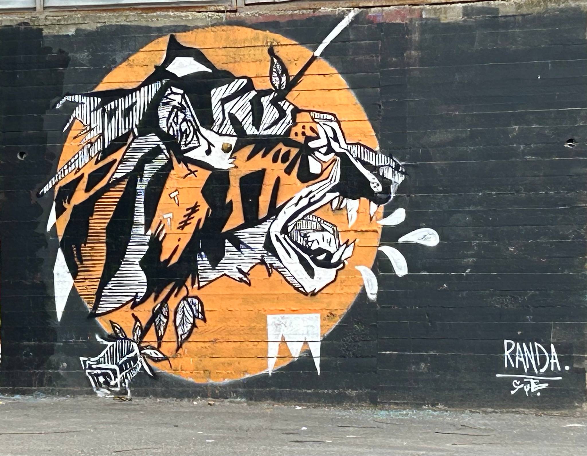Randa Abu-Rahmeh&mdash;Tiger