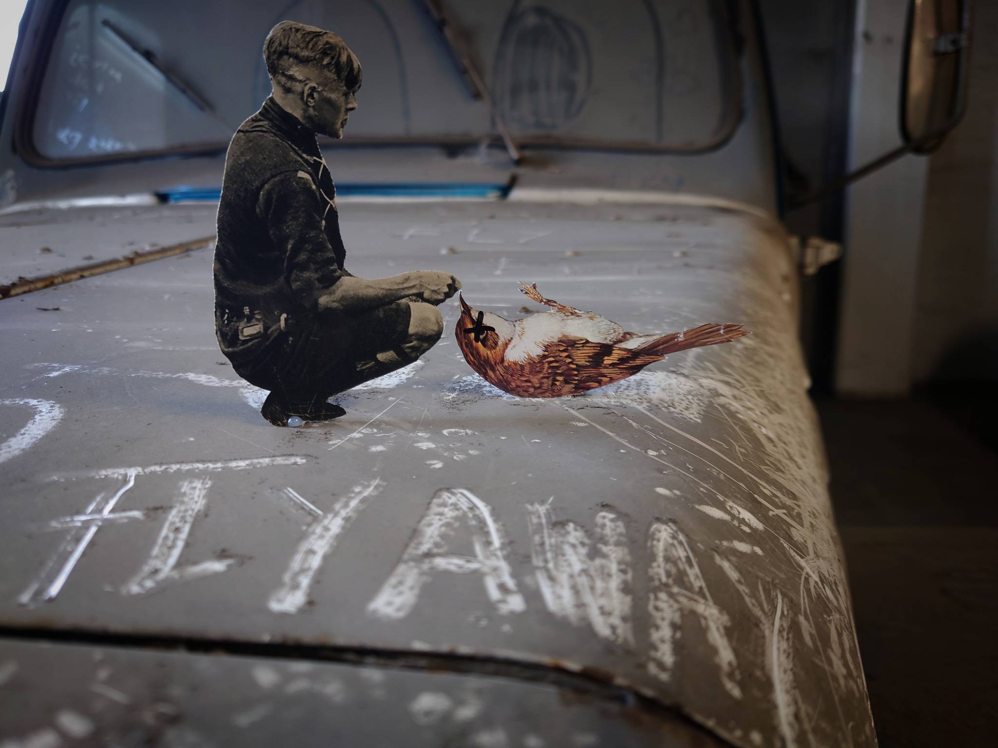 Missprinted&mdash;Fly away