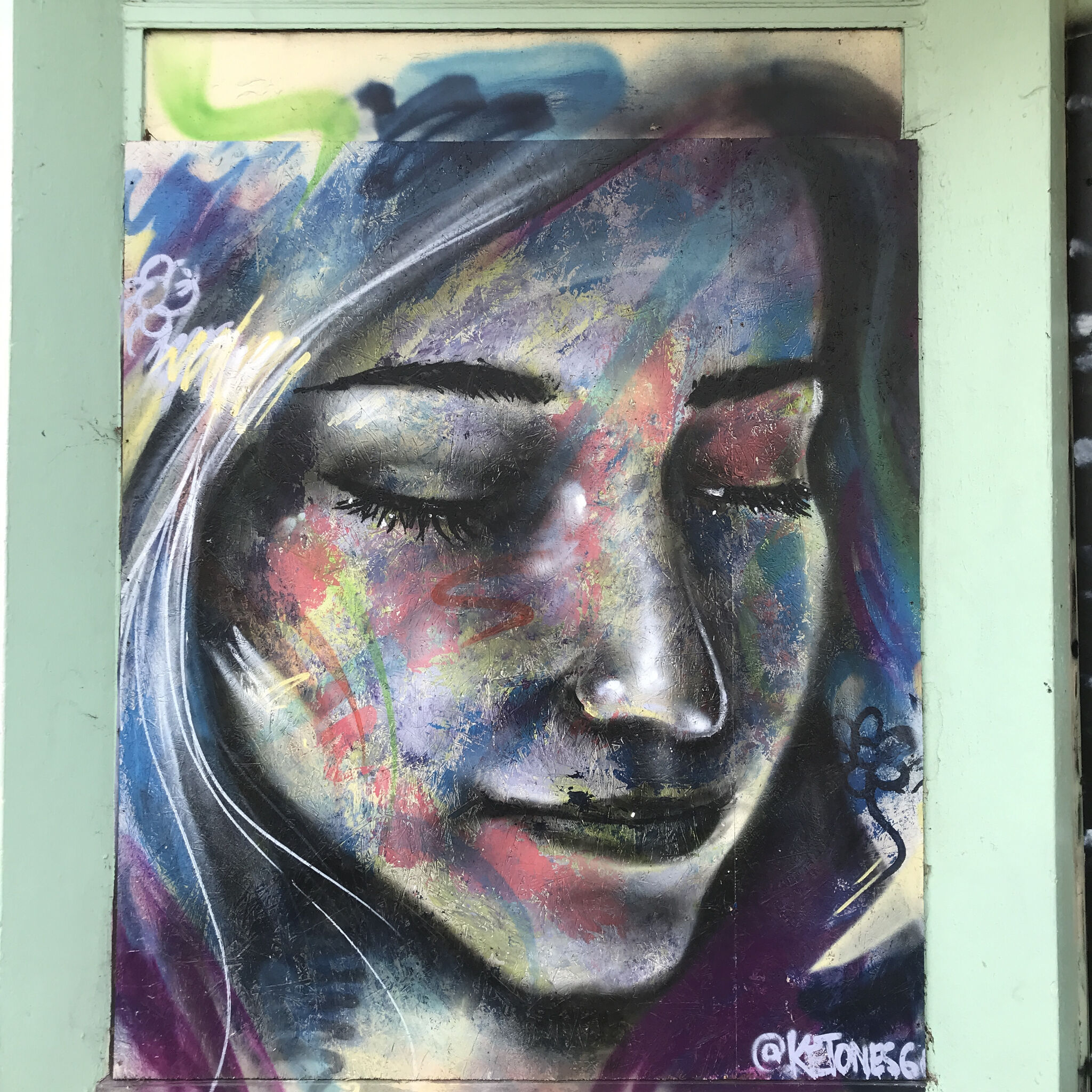 rooabrook, Koe1, Ketones6000, thisismidge, NZIE, Gary Stranger, pogo, RoosArt&mdash;Osborne Road Street Art Gallery
