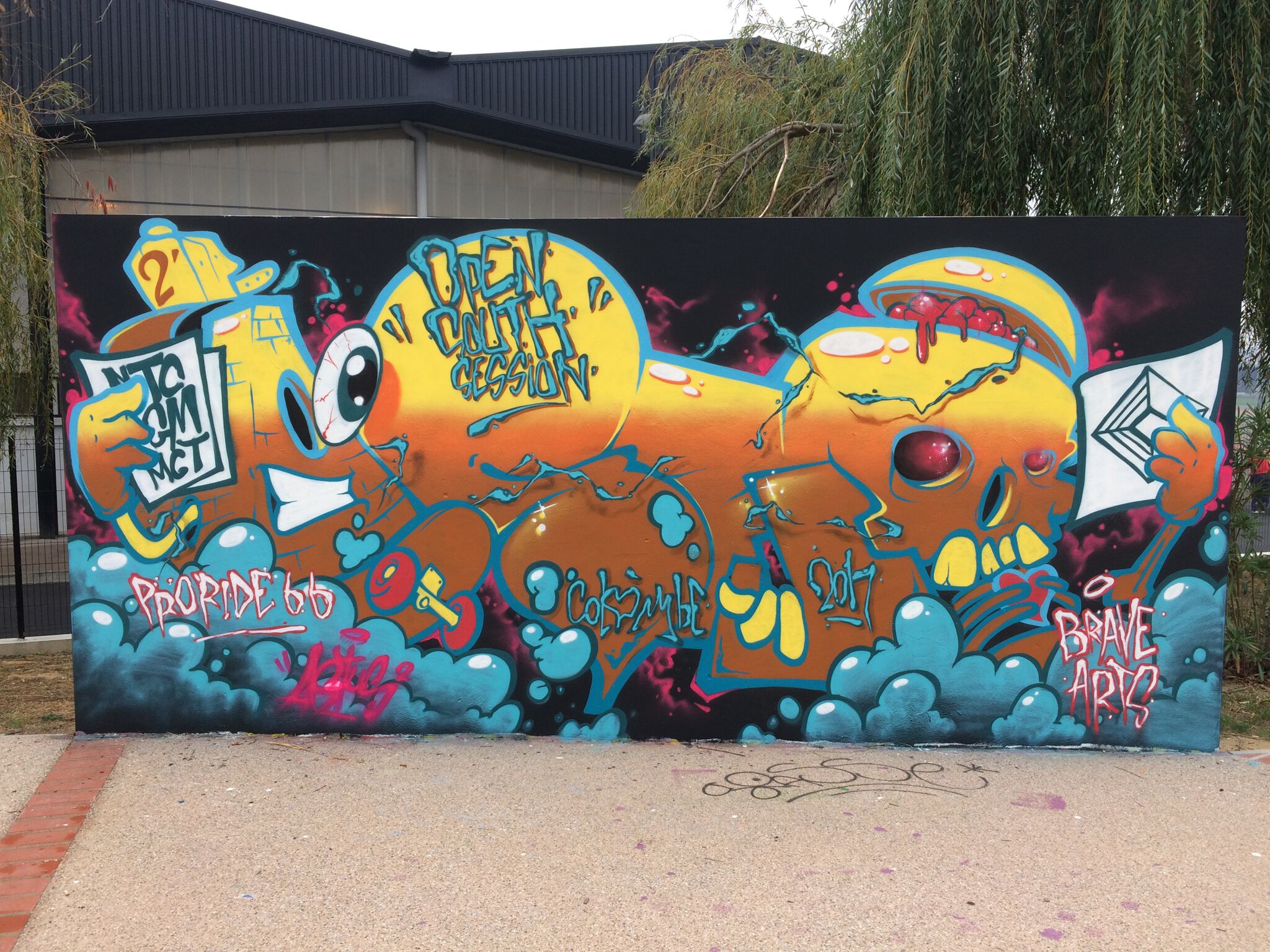 Astus2&mdash;Skatepark Perpignan