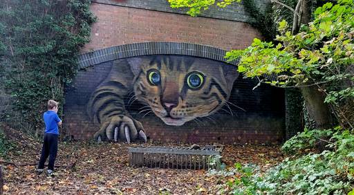 Peeking cat