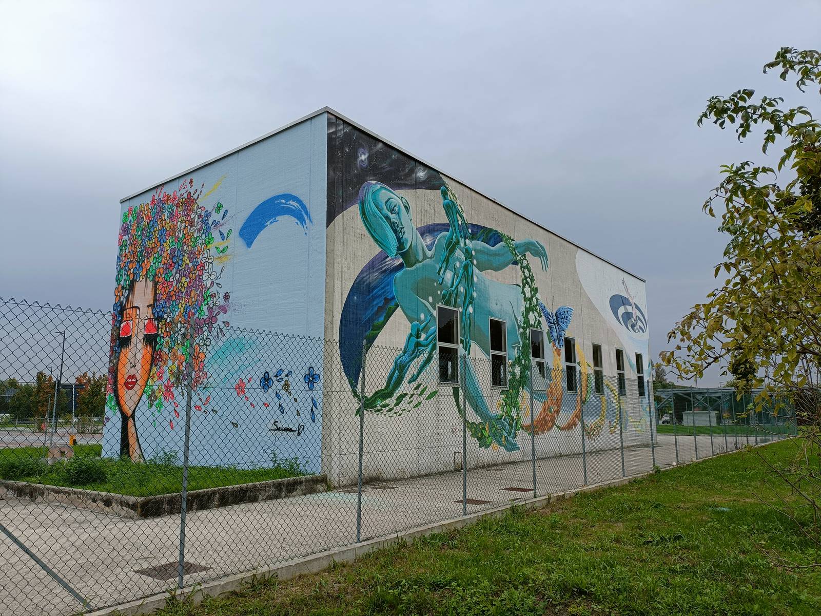 Ale Senso&mdash;Aqva