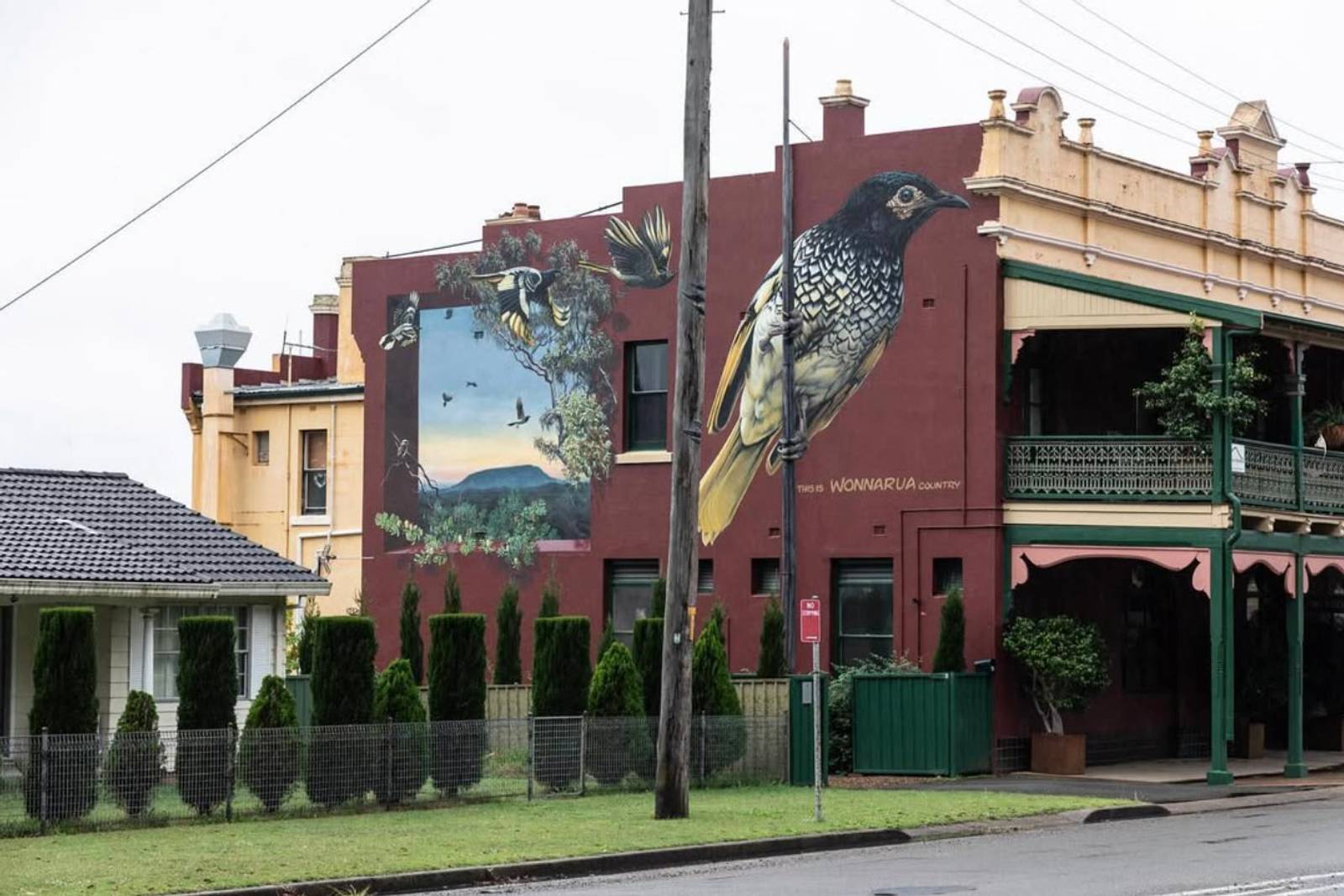 Jenny McCracken&mdash;Regent Honeyeater