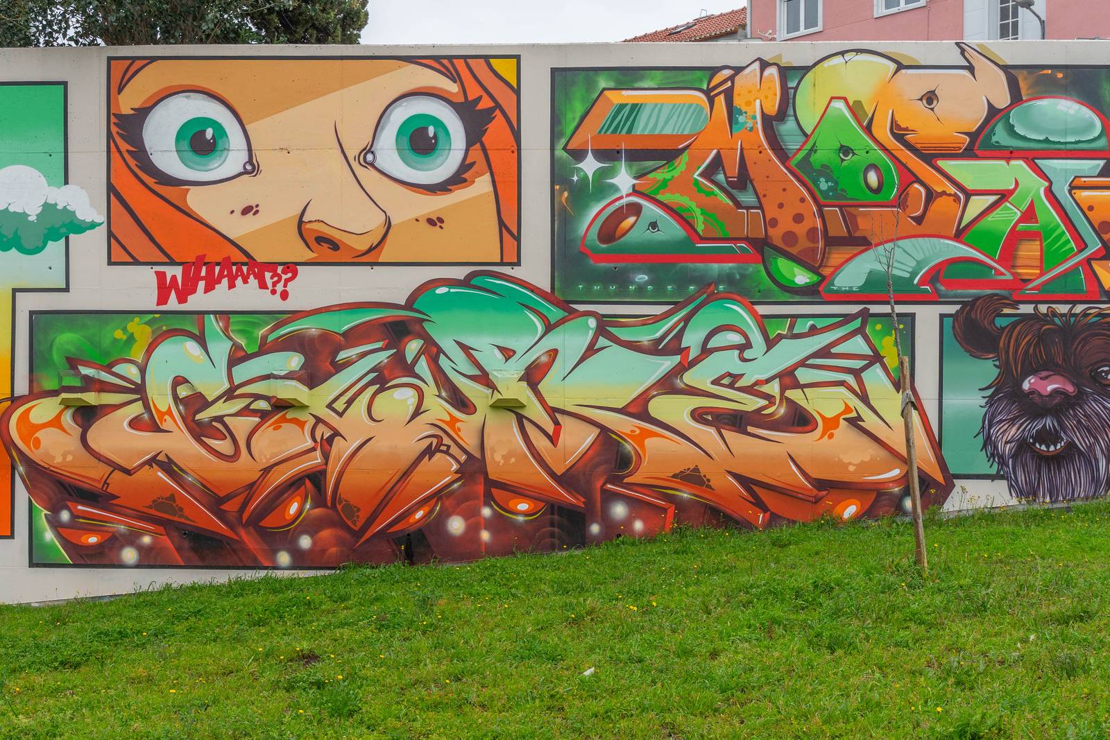 Thunders Crew&mdash;undefined