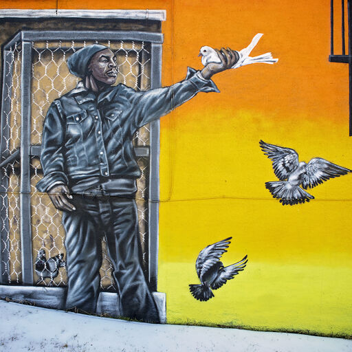 Mike Tyson & the Pigeons