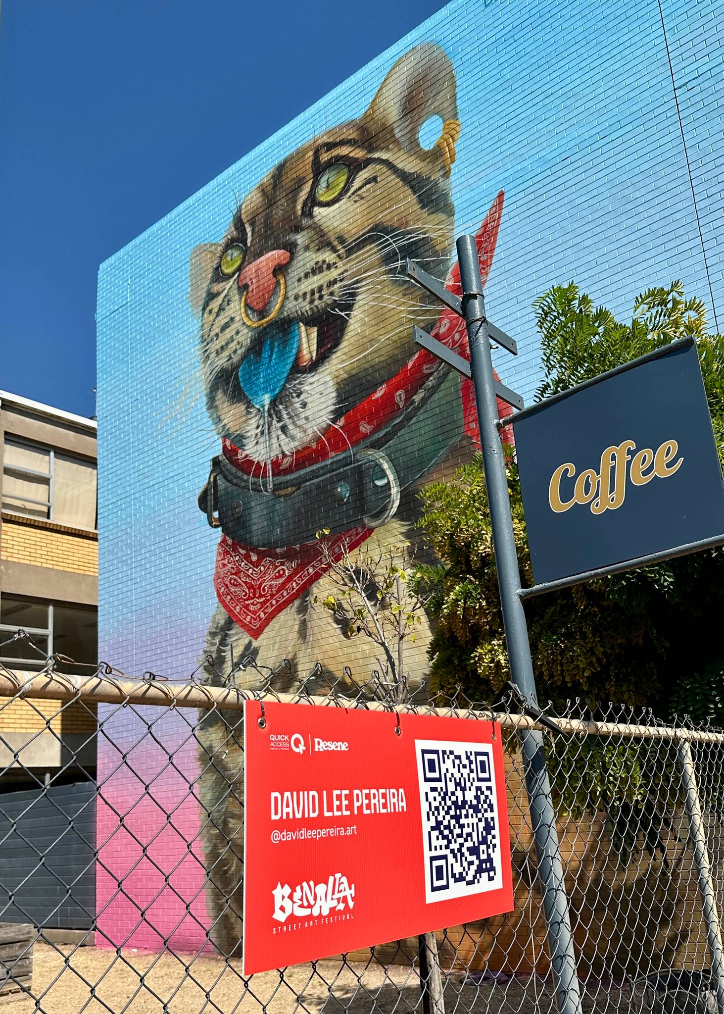 David Lee Pereira&mdash;Wild Cat with Blue Tongue