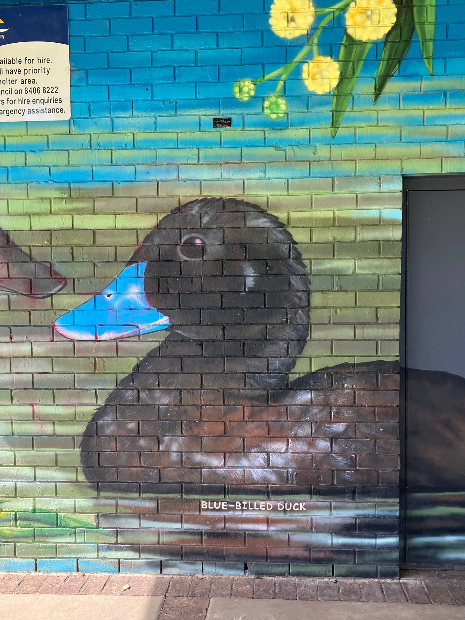 Melita Scott, Keira Scott&mdash;Little Para Wildlife