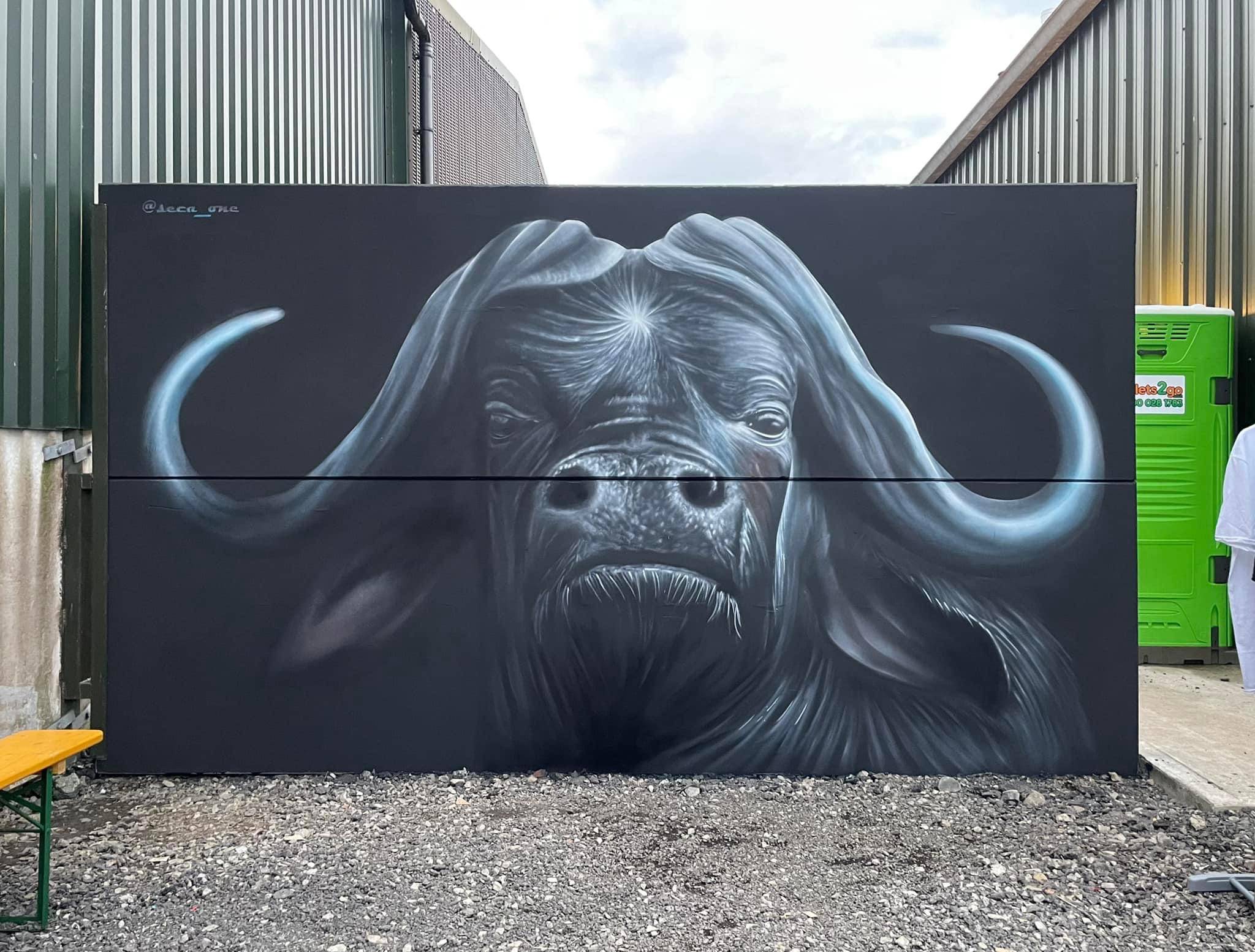 Secaone&mdash;Water Buffalo FYA