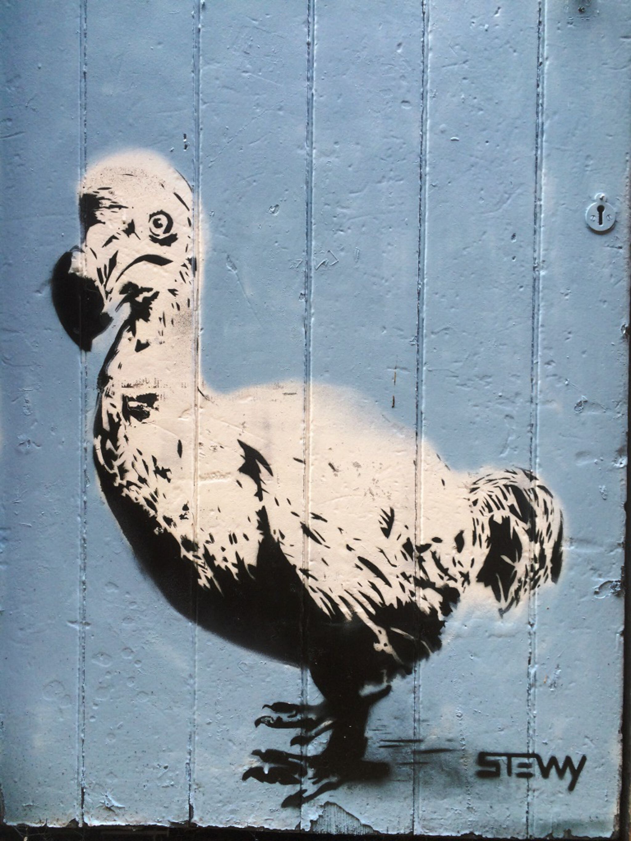 Stewy&mdash;Dodo