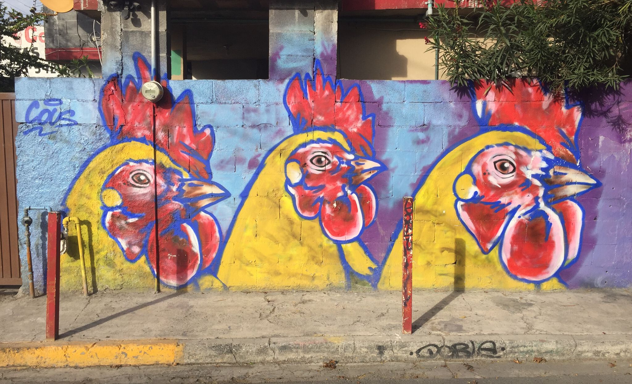 Cous&mdash;3 giros 42°