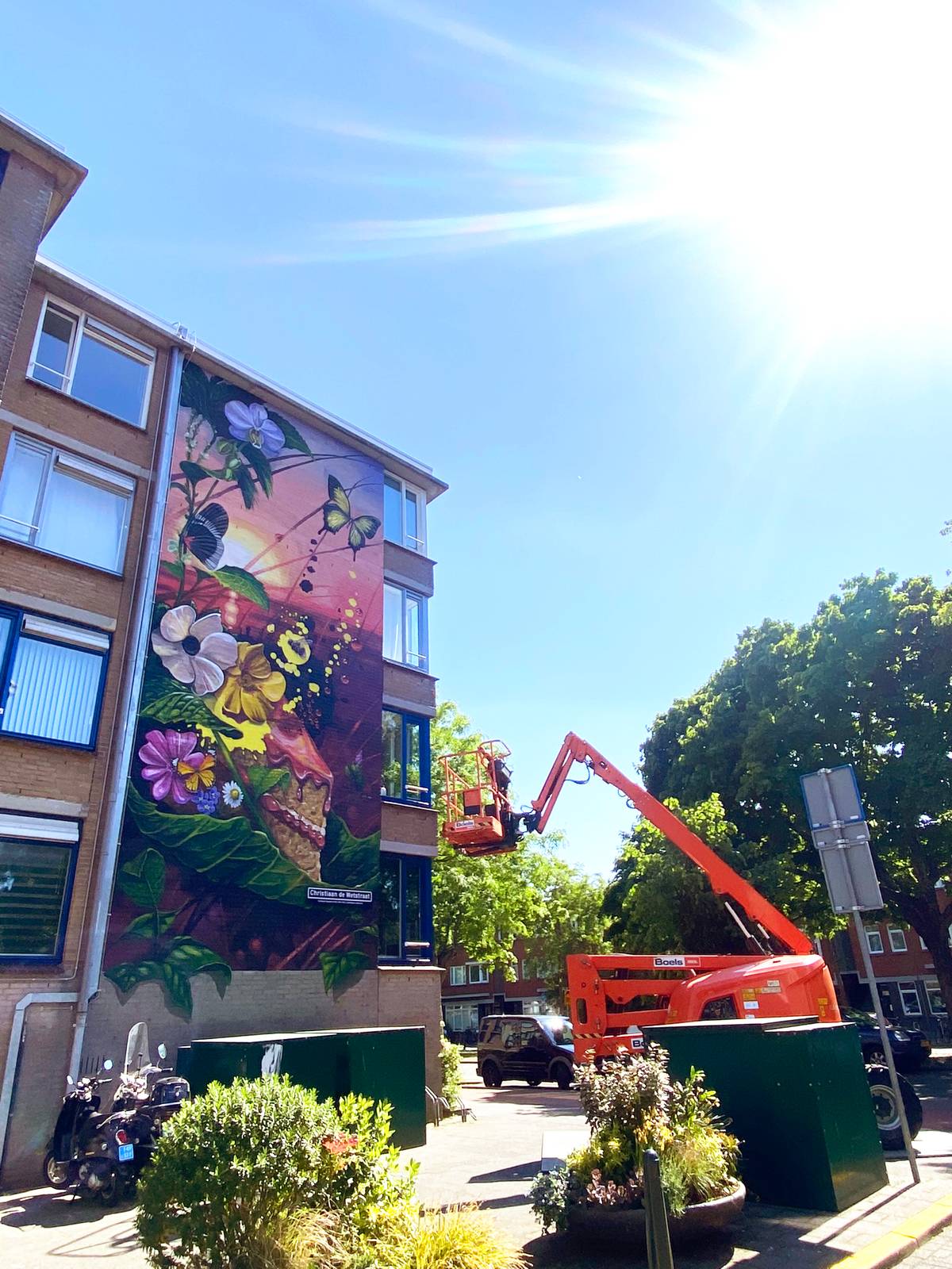 Nadia van Luijk&mdash;NATURE'S GIFT - The golden hour