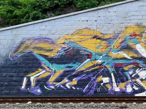 Horse in the run