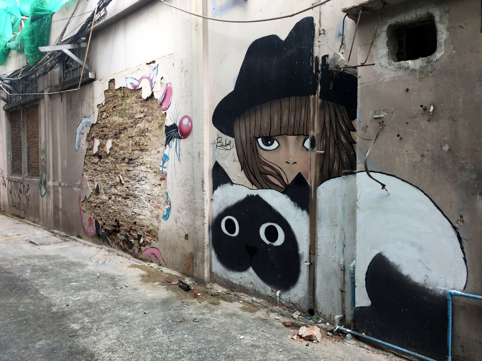 Unknown - Bangkok&mdash;Cat