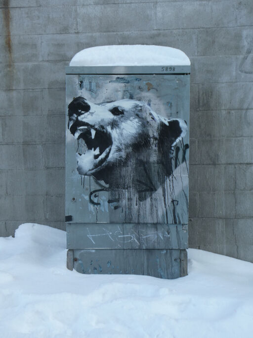Roar on power box