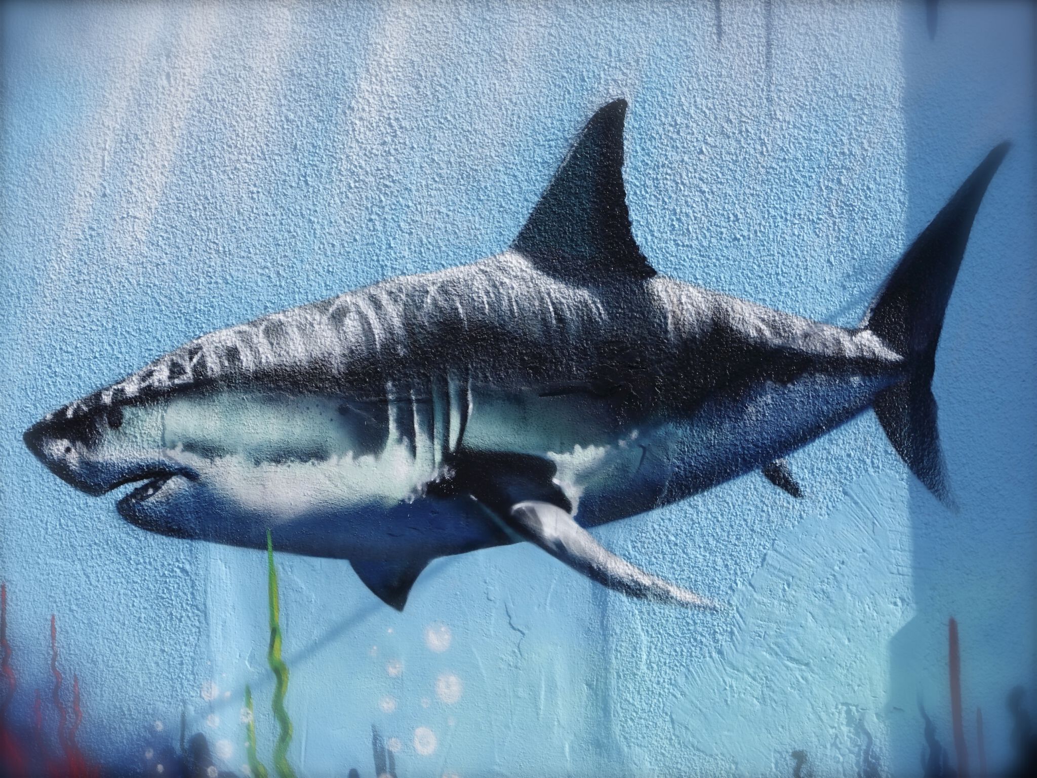 Steve Camino, mezclandocolores83&mdash;White Shark