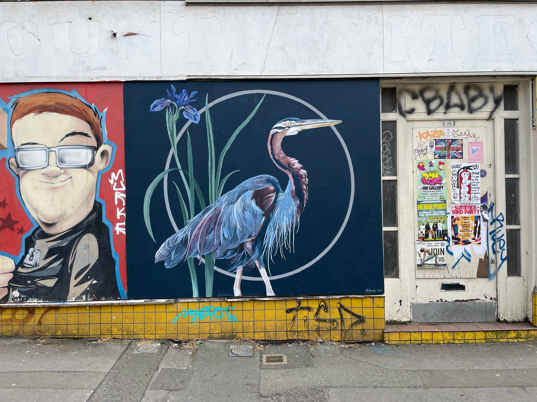 Faye Rai&mdash;Purple heron