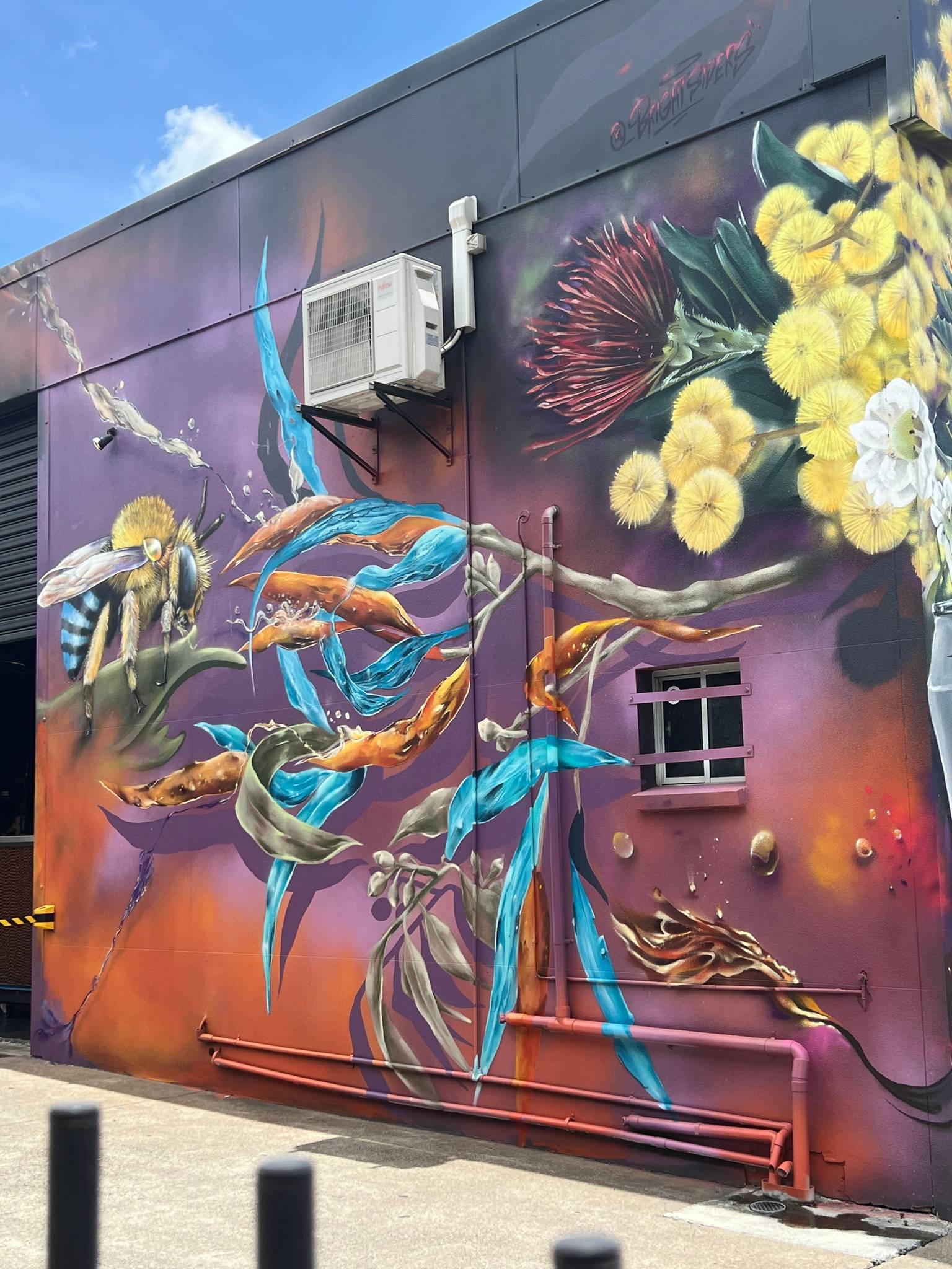 Jordan Bruce Art, Procreativ&mdash;undefined