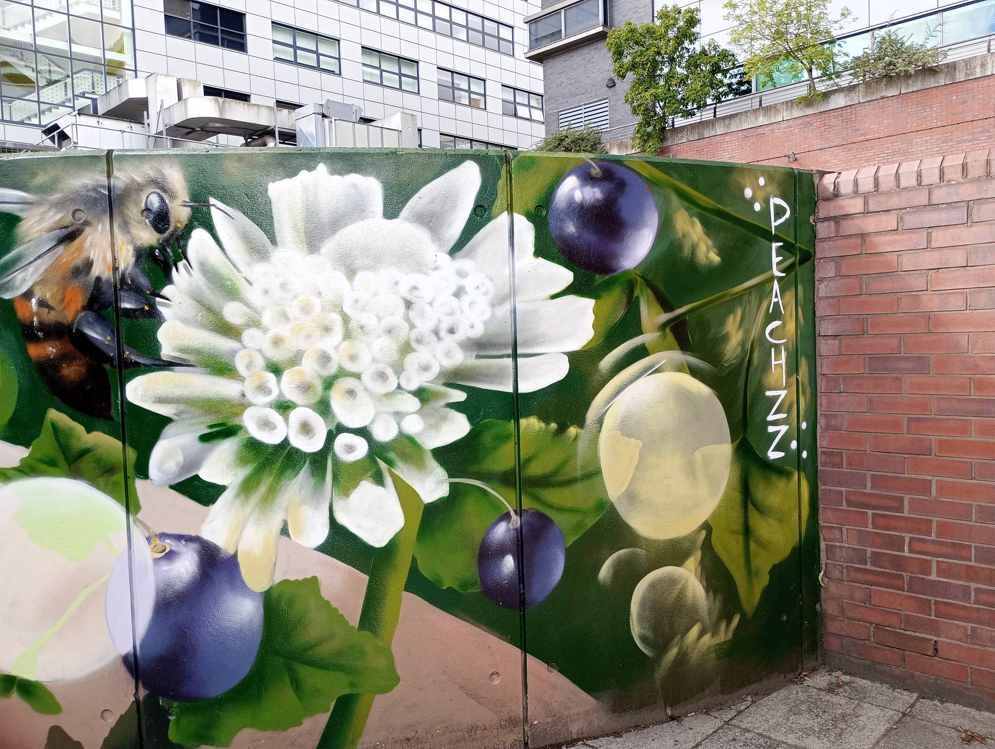 Peachzz&mdash;Pond Street Mural