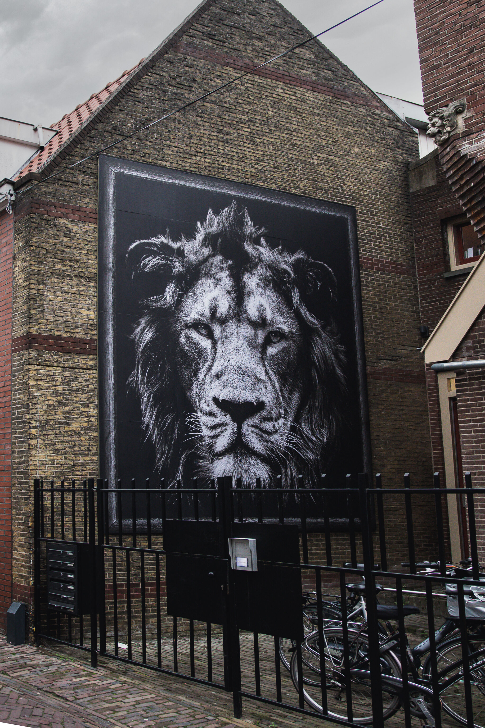 SONAC&mdash;The Lion