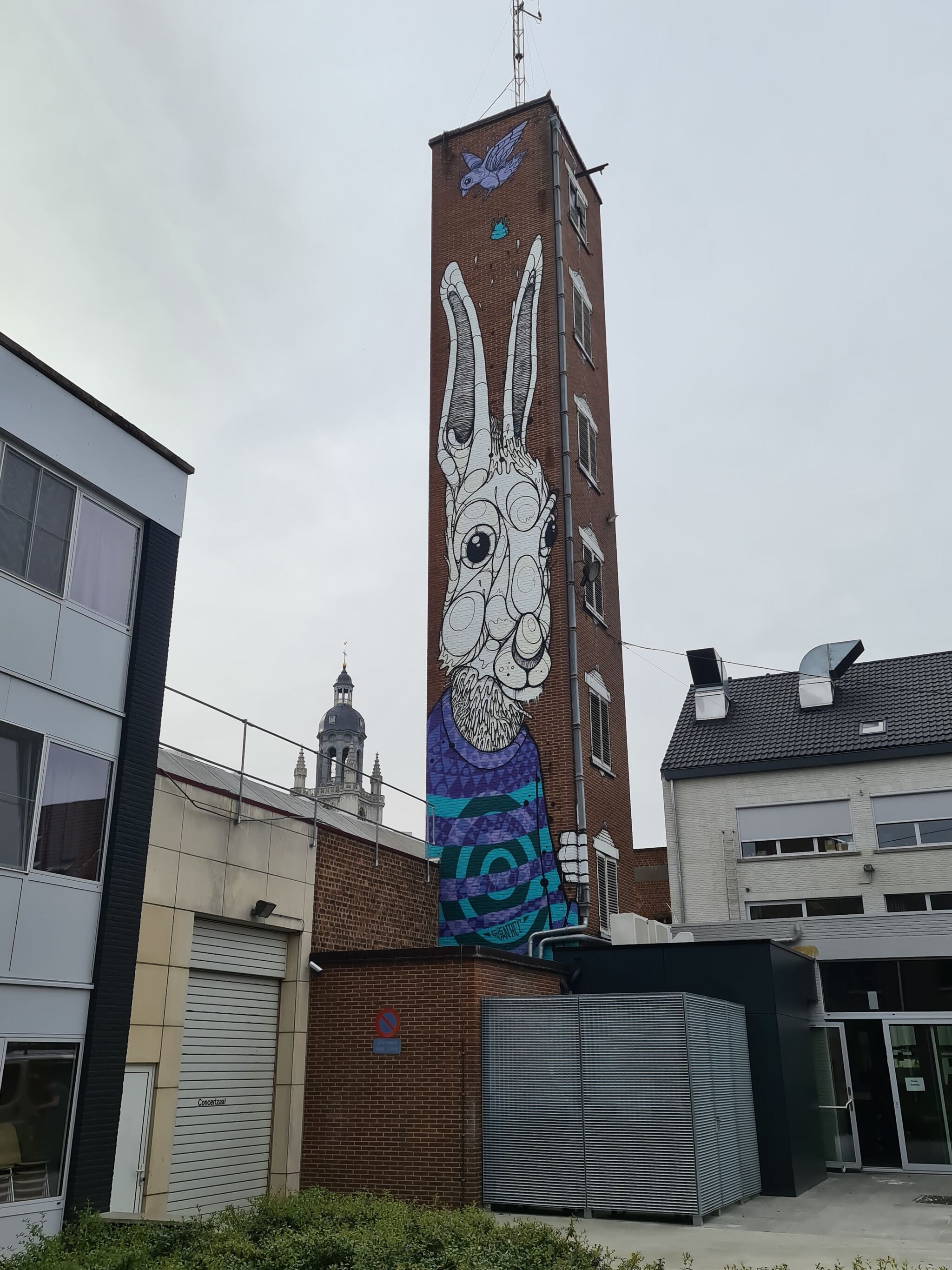 Gijs Vanhee&mdash;Konijn (Play the Rabbit, Free the Bird)