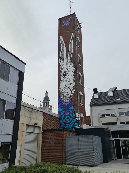 Konijn (Play the Rabbit, Free the Bird)