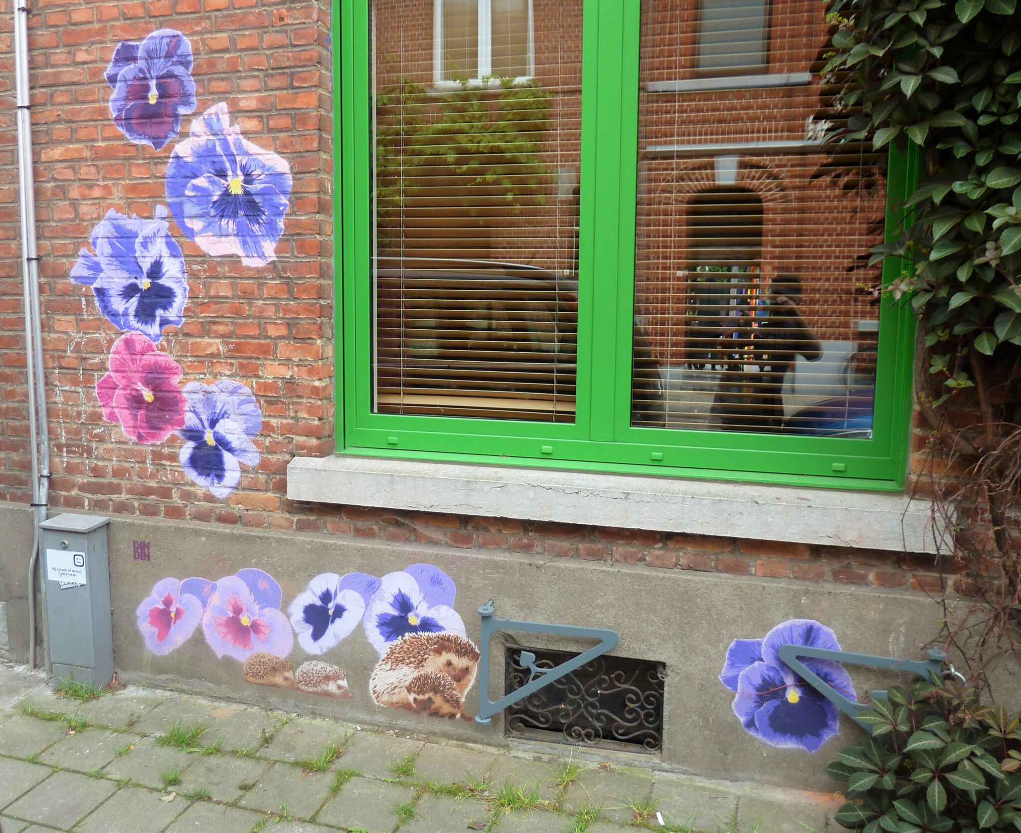 DinDin&mdash;Petunia flowers & Hedgehogs