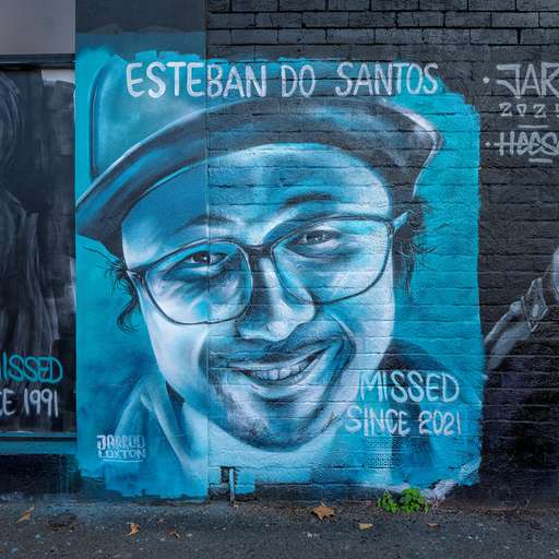Esteban Do Santos - Missing