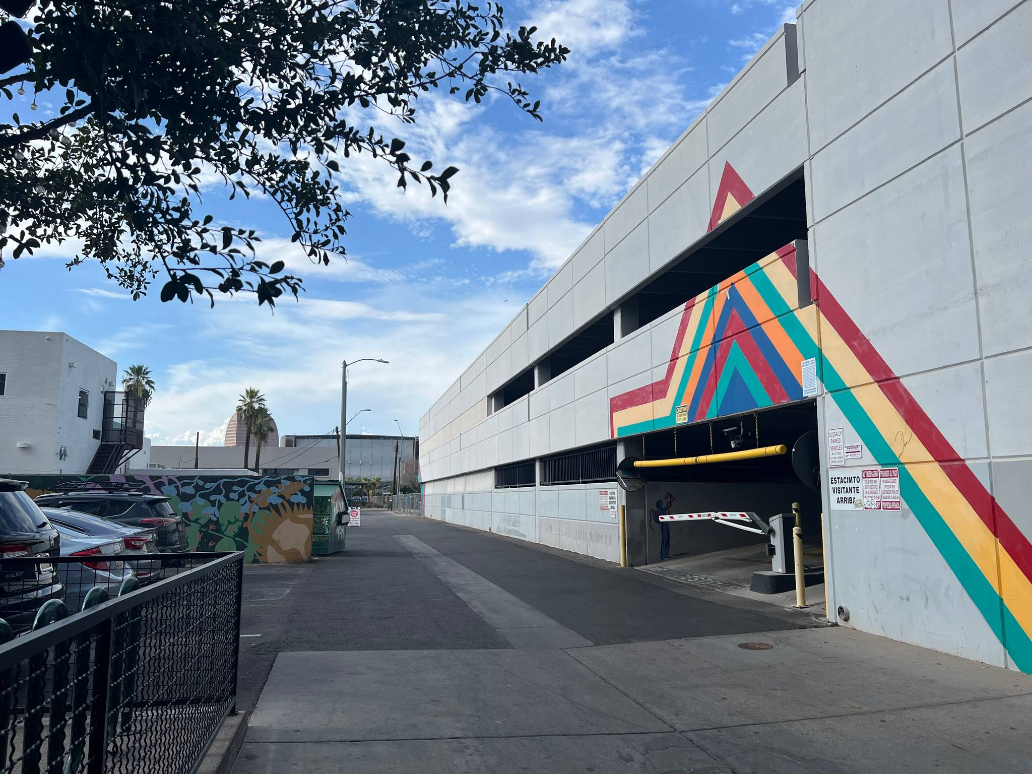 Kayla Newnam&mdash;Not Another Bird Mural
