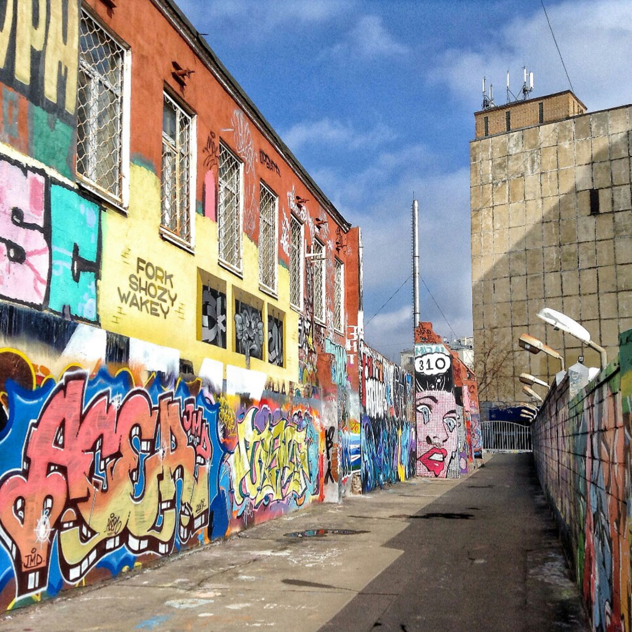 Squad310, Max13, Various Artists&mdash;Hall of Fame 'Novoslobodskaya'