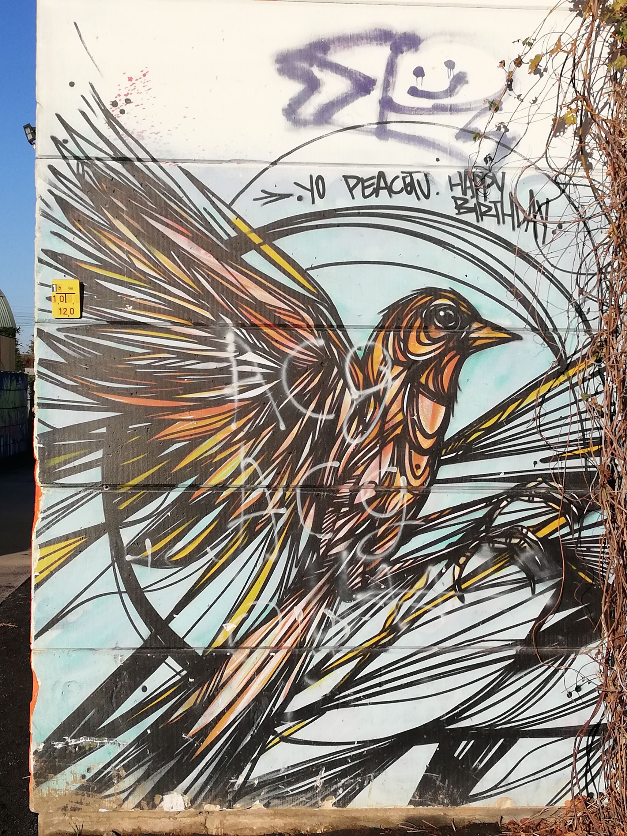 Dzia, Suarez Murals, Tuch &mdash;Douaneplein