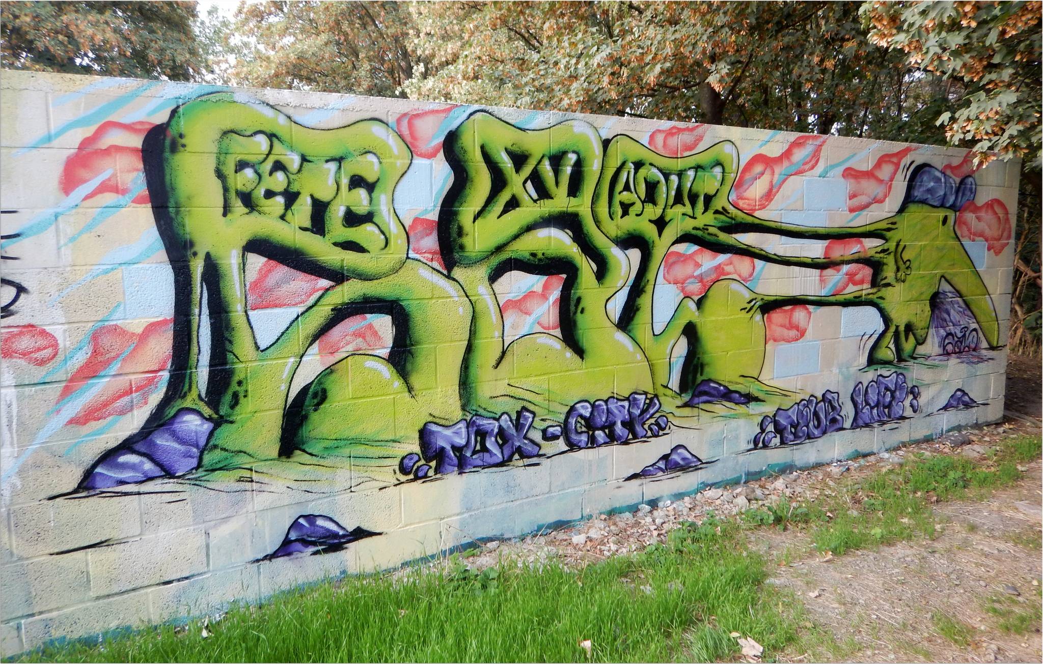 Noname, jnc, Ecto, Acide4000, nilon, nico hayer, Soke - la cabane, etc...., PsoMan&mdash;Skate Parc de Cointe